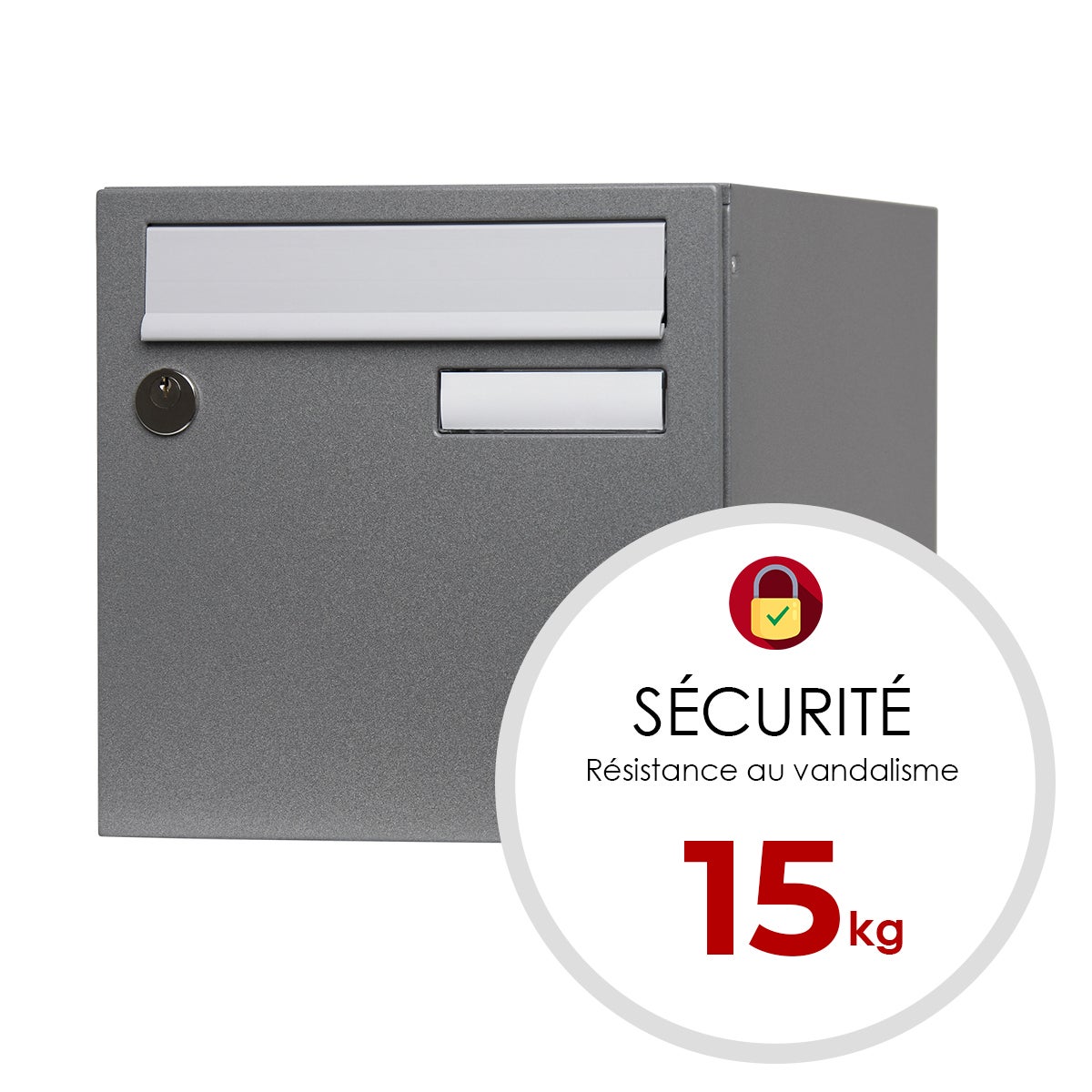 Cassetta delle lettere standard 1 porta esterna RENZ acciaio grigio lucido - 4