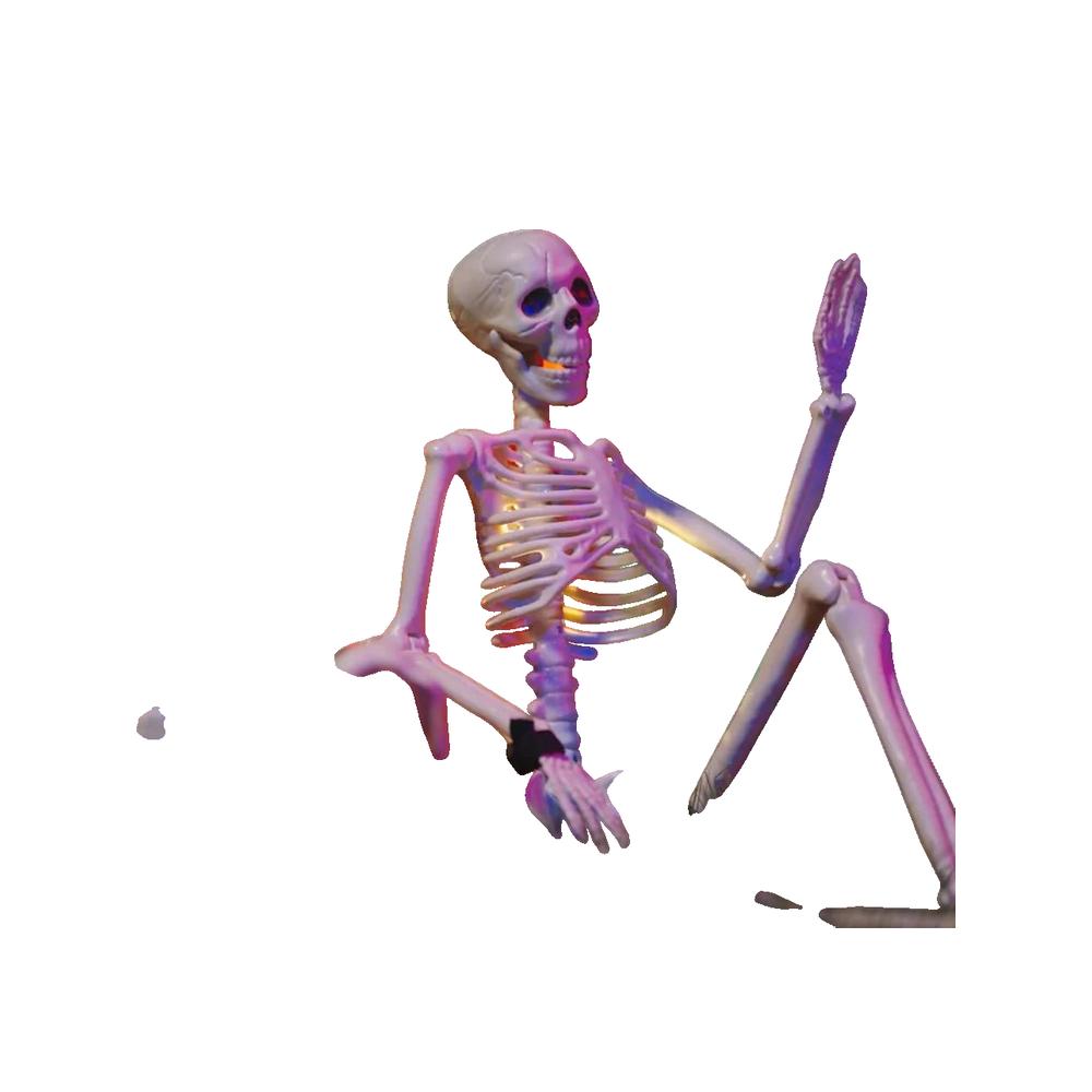 Dekoracja Halloween vidaXL Szkielet ludzki i pies 155 cm Ruchome stawy