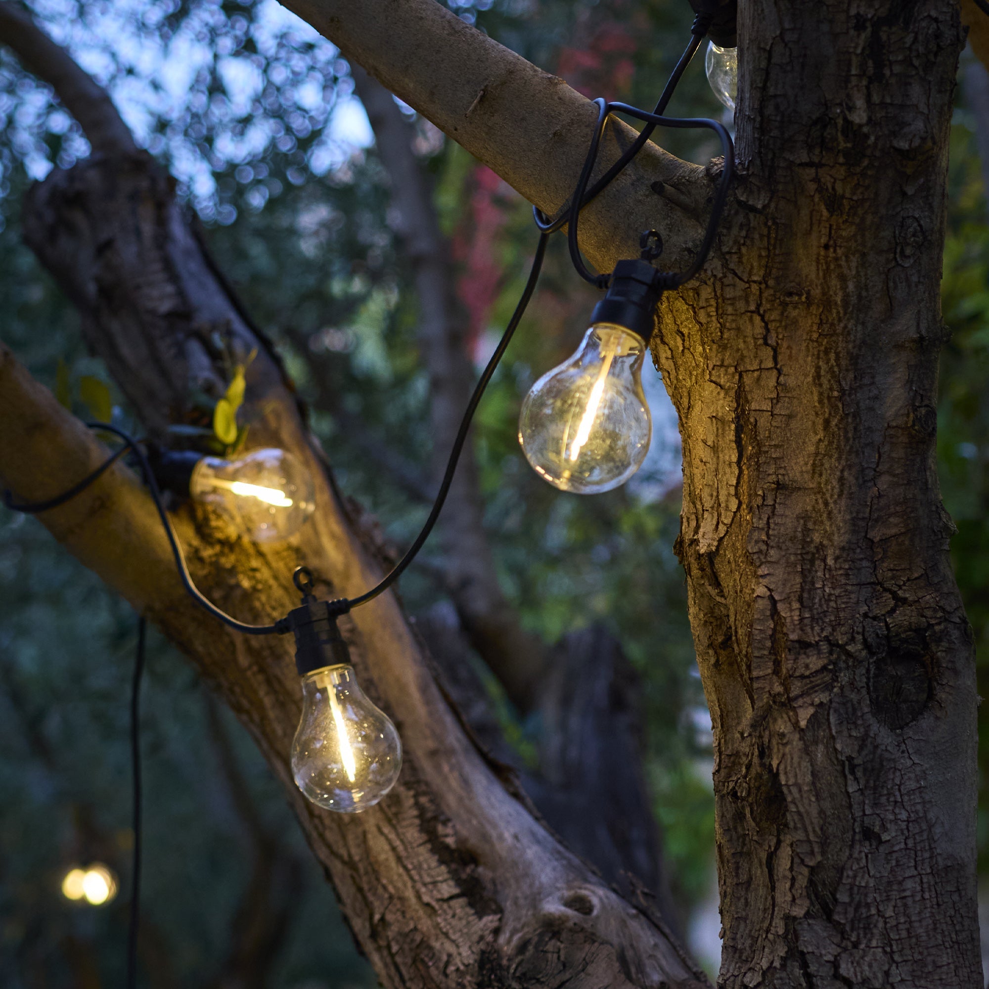 PARTY MAX 10 luci solari a LED da 7,5 m - 2