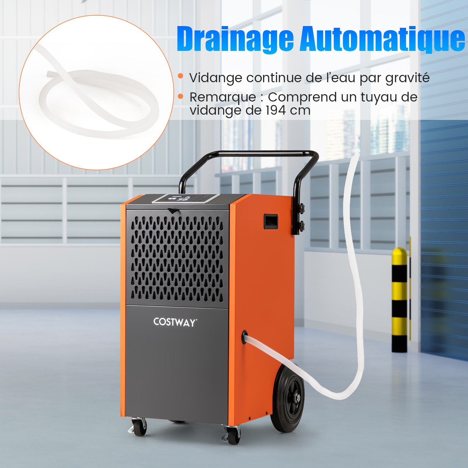 Deumidificatore Casa Deumidificatore Da 50L Al Giorno Con Pompa - Foto 2