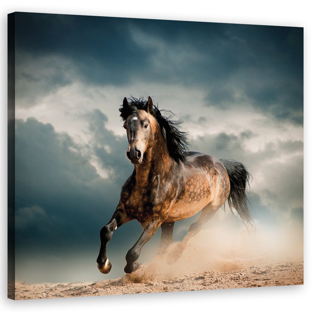 Obraz na płótnie, Galop konia 50x50