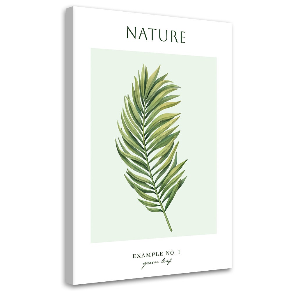 Obraz na płótnie, Zielony liść - Natura 80x120