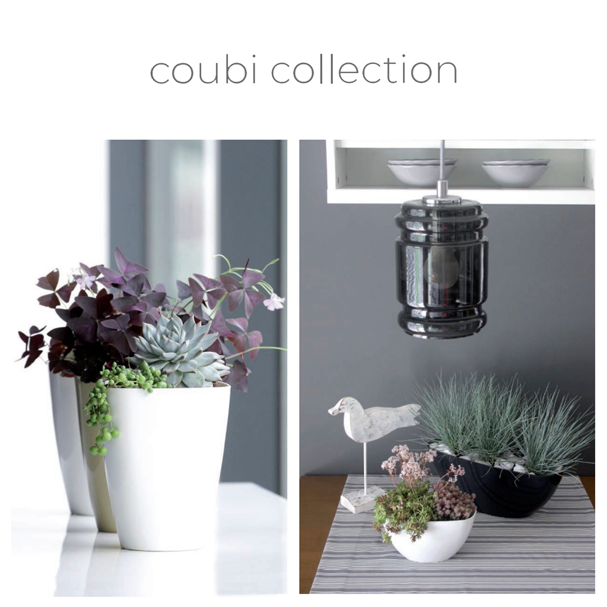 Coubi Orchid PET 1.6L., Dimensioni (mm) 132x132x165, colore bianco | Leroy Merlin