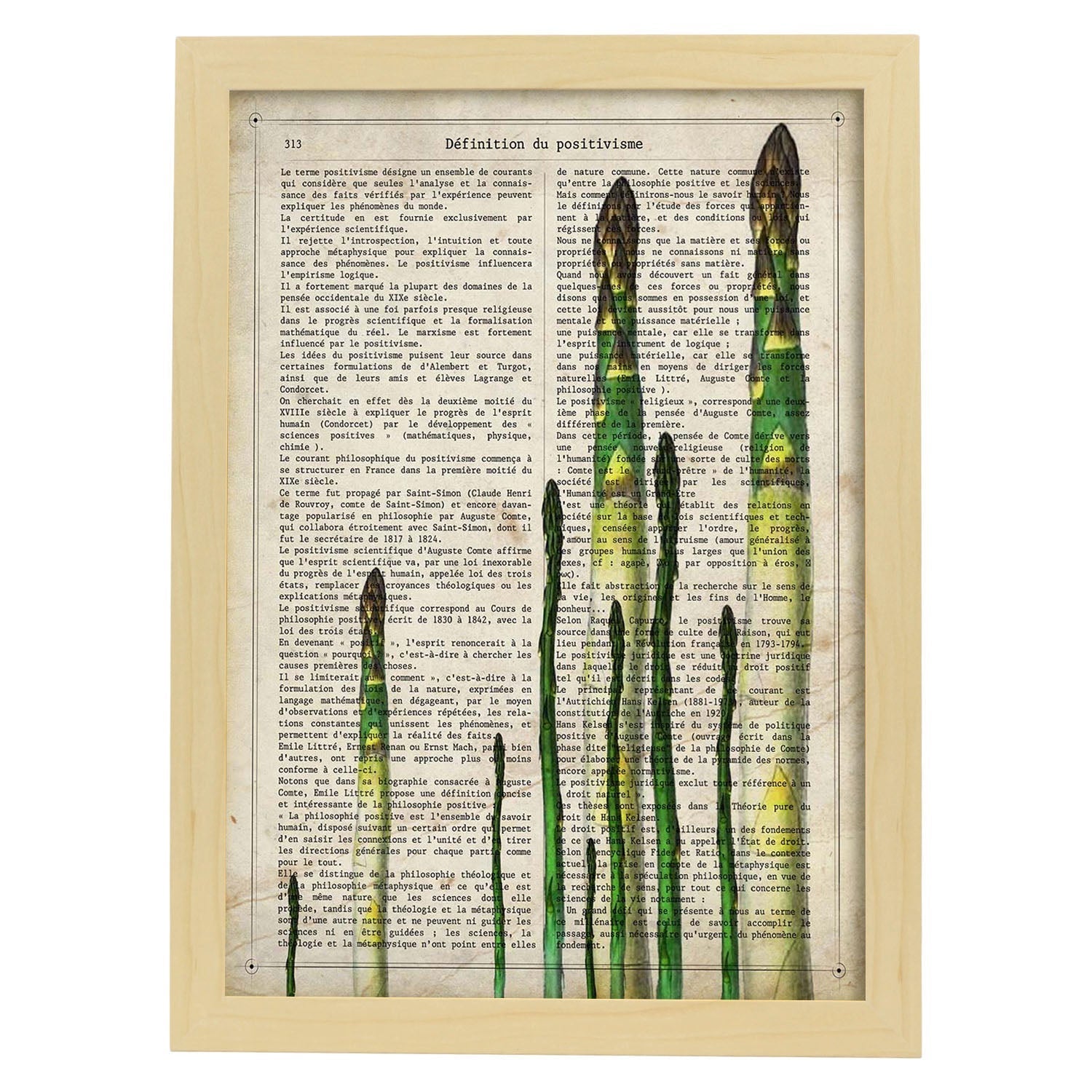 Poster de esparragos. láminas de frutas y verduras con definiciones. ilustraciones de alimentacion vegetariana. marco blanco - a3