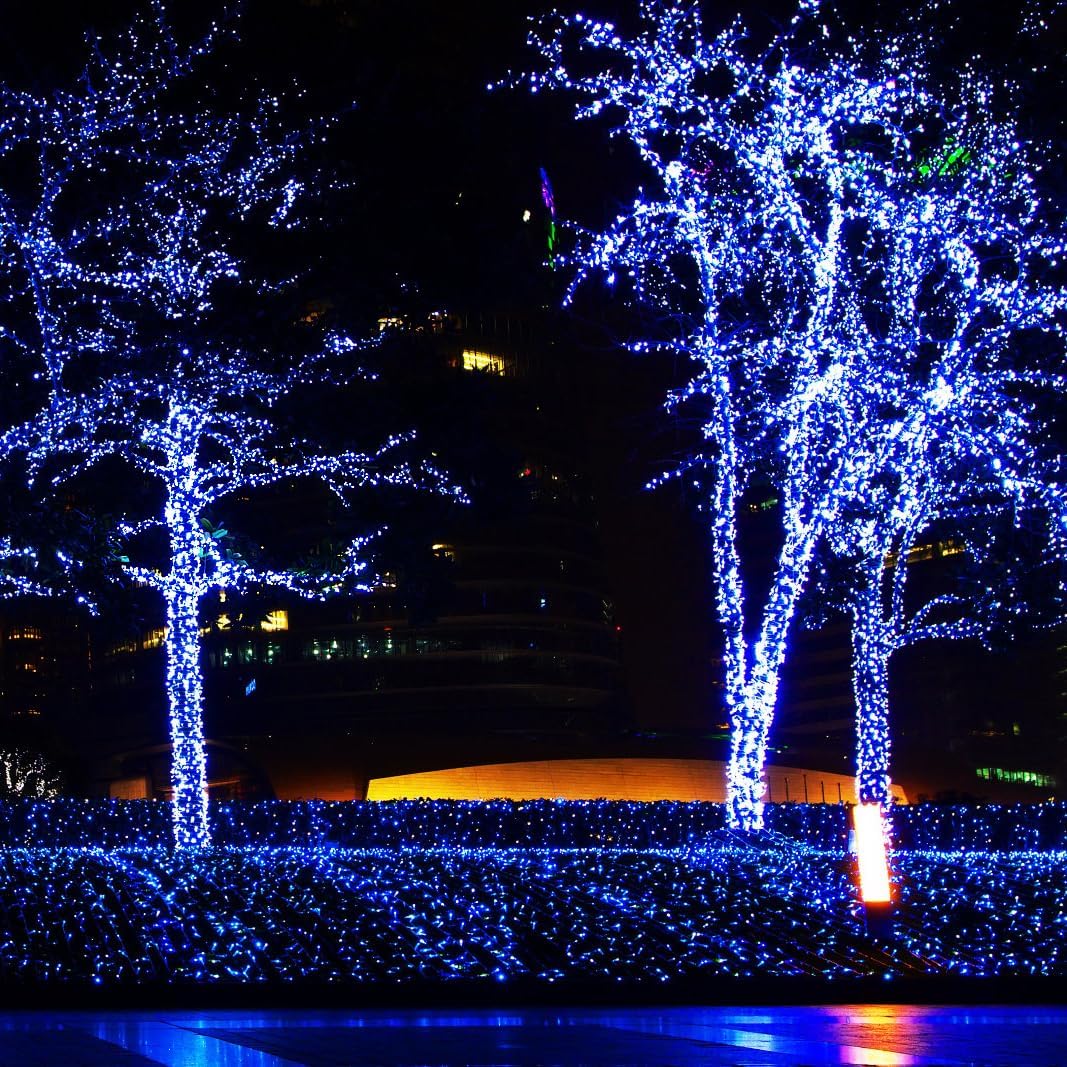 Guirlande lumineuse 100 m 1000 LED Fil de cuivre argenté Étanche Intérieur/Extérieur avec télécommande, Lumière blanche. - 8