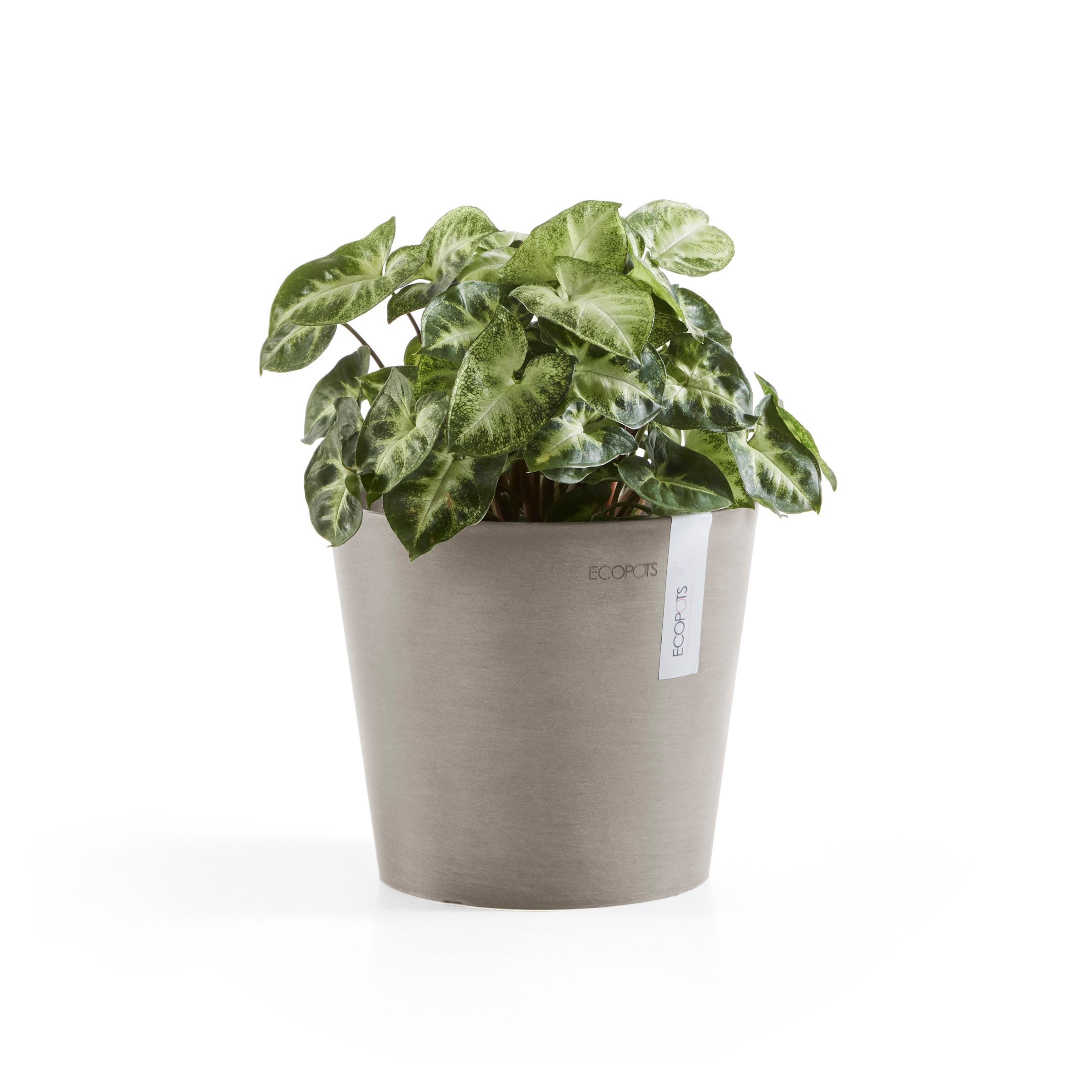 Ecopots Amsterdam 20 Pot de fleurs - L 20 cm x H 17,1 cm - Taupe - Intérieur et extérieur - 2
