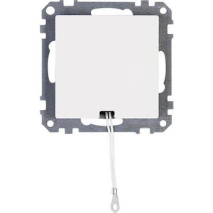 Interrupteur à Tirette Pour Plafond – 2 Voies, Lot De 5, Onestopdiy