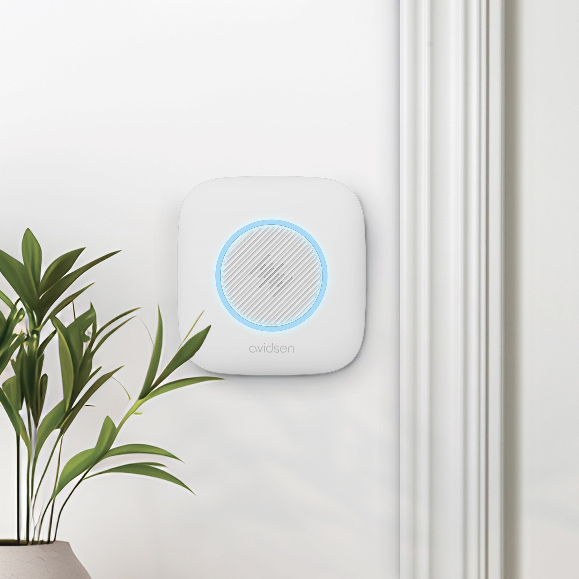 Carillon avec flash lumineux sans fil avec pile portée 200 mètres - Avidsen Sona - 102507 - 3