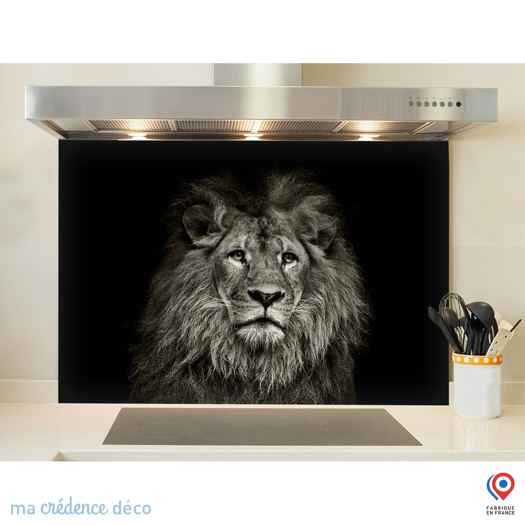 Crédence Cuisine Fond De Hotte Carrelage Classique 9 - Verre Trempé - L