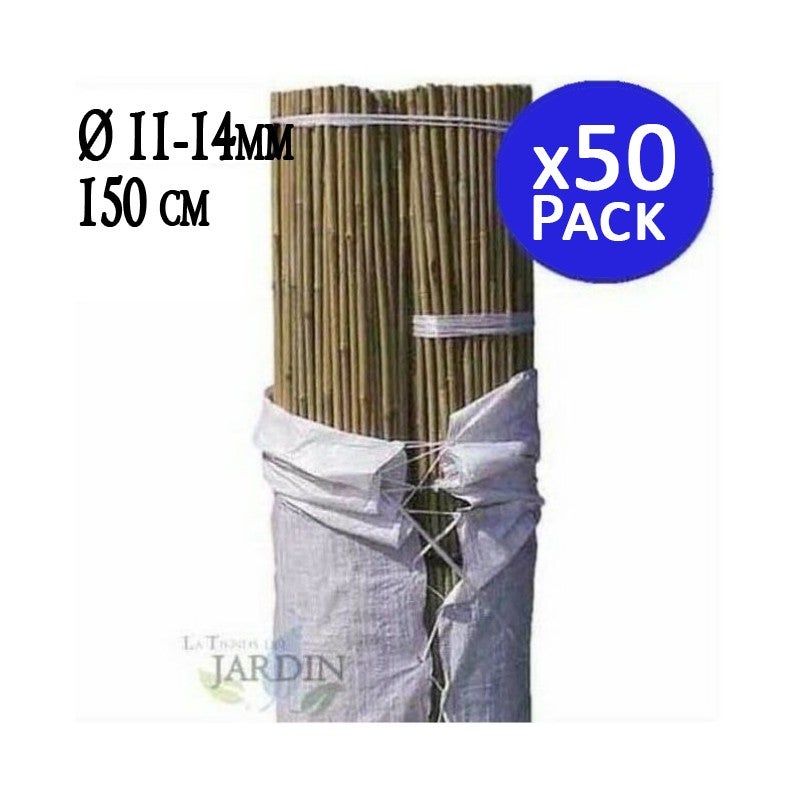 Lot de 50 Tuteur en Bambou de 150 cm, 11-14 mm, Tubes en Bambou pour Plantes et Arbres, Baguettes de bambou, Canne de bambou - 2