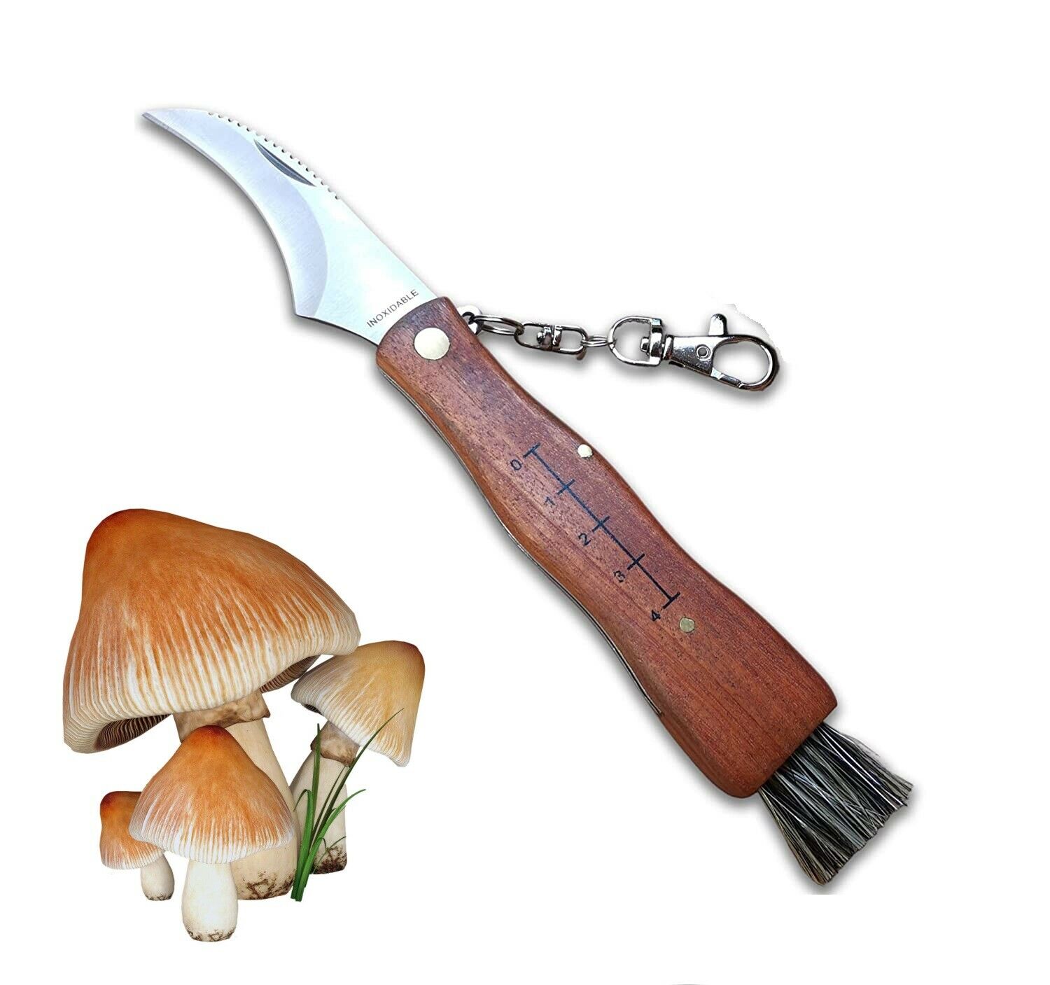 Coltello per Funghi Codega Premana | Vendita Online