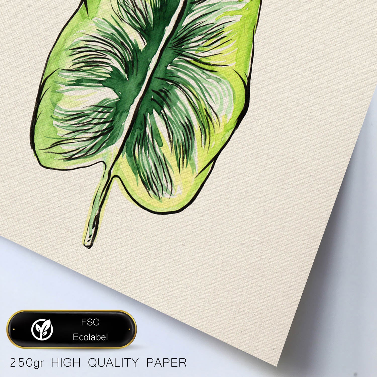 Affiche De Fleur Et De Nature. Perte Carrée Perdue, Illustrée De Dessins De Couleur. Cadre En Bois Clair - 2