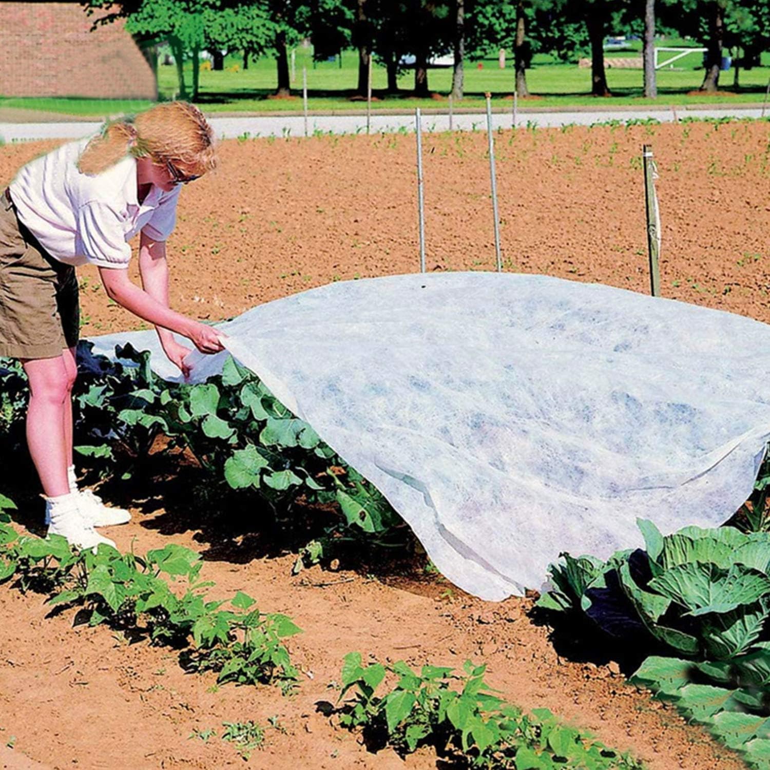 Osłona roślin chroniąca przed mrozem zimą - 2m x 10m - biała - 4