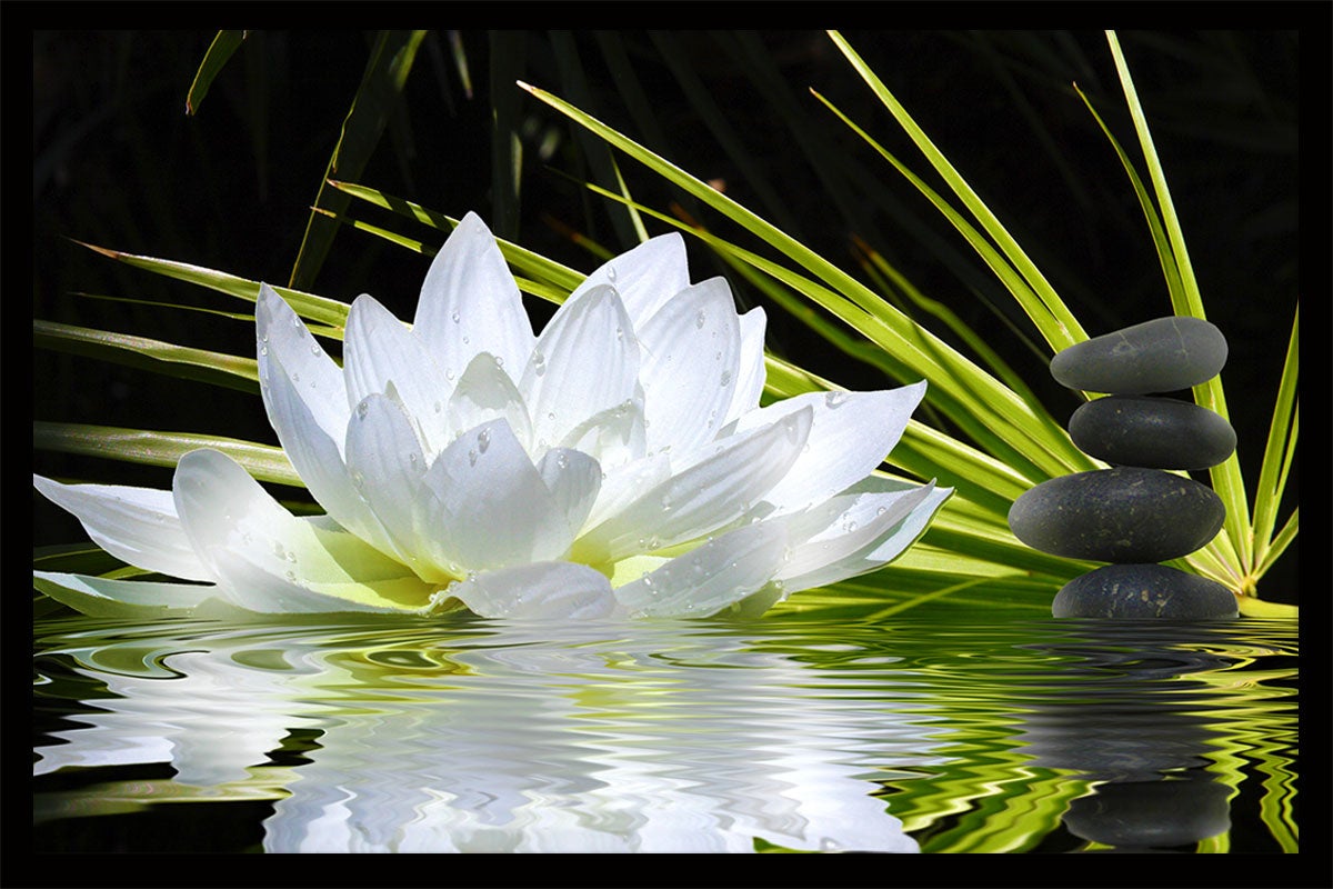 Cartel ambiente zen y flor de loto - 60x40cm - made in France - 5