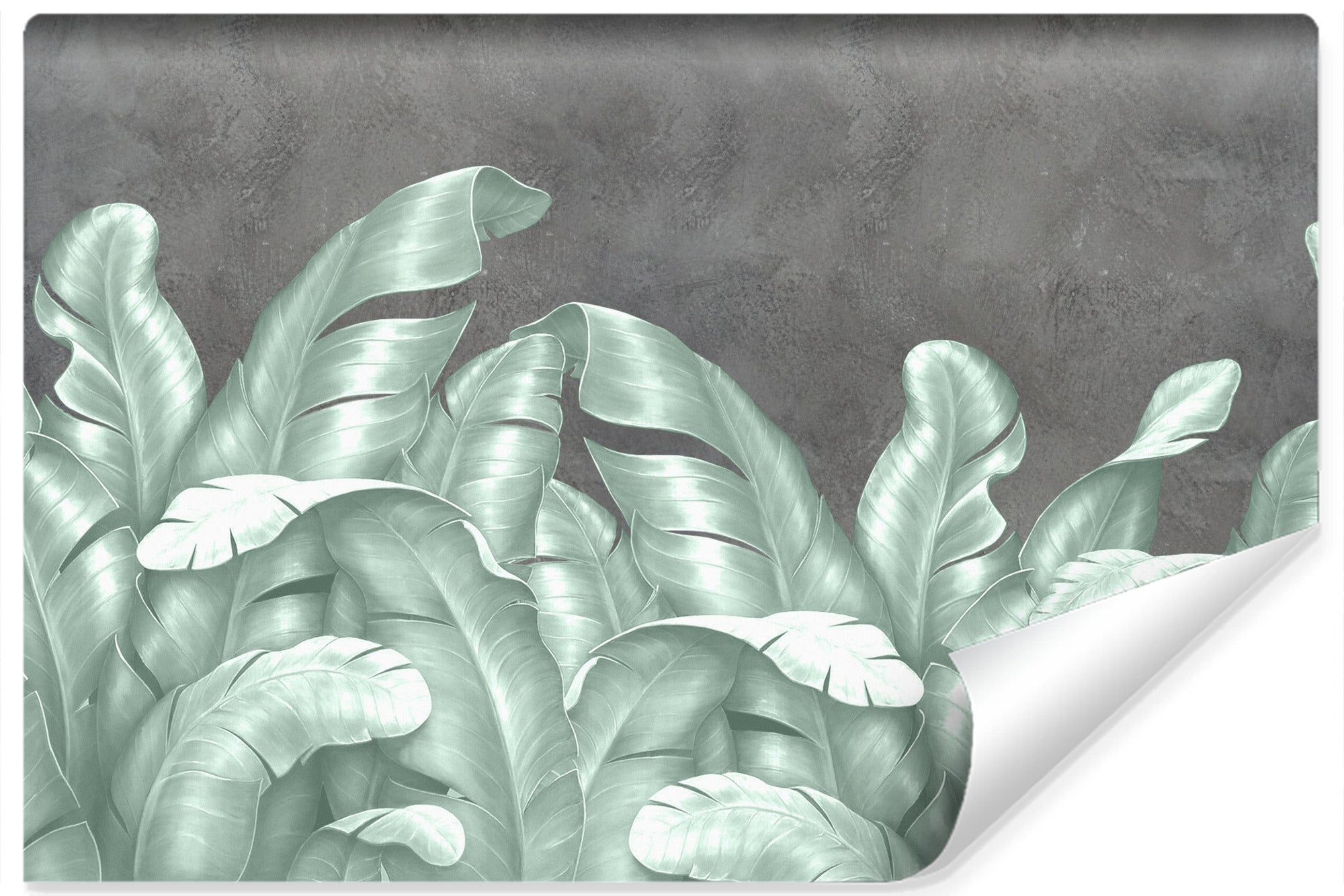 Papel pintado vlieseline foto hojas plantas de hormigón para habitación 360cm x 240cm