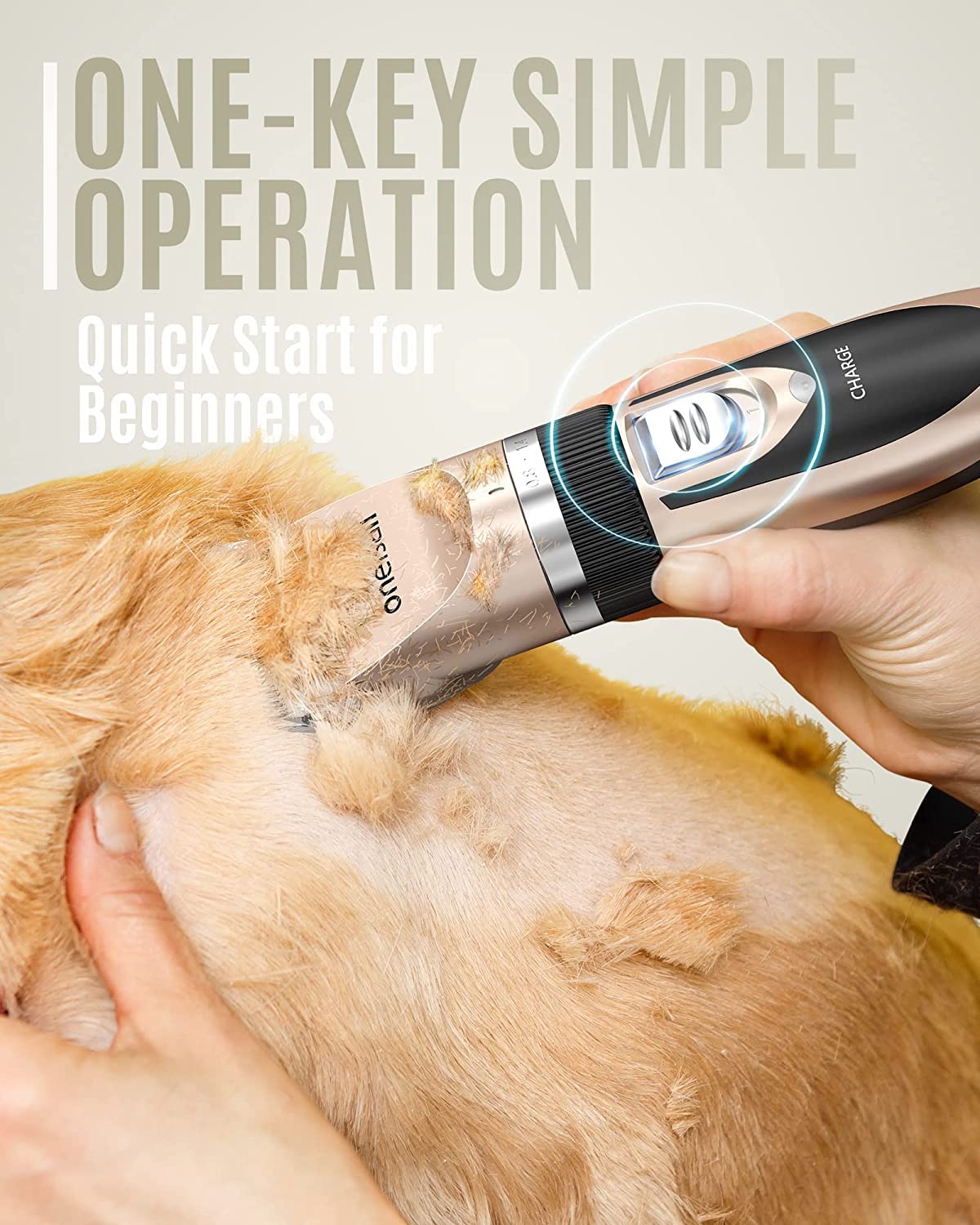 Máquina Tosquiar Profissional Cães Pelo Comprido e Grosso Máquina Tosquiar Silenciosa Gatos e Animais Estimação cães gatos animais companhia pequenos - 5
