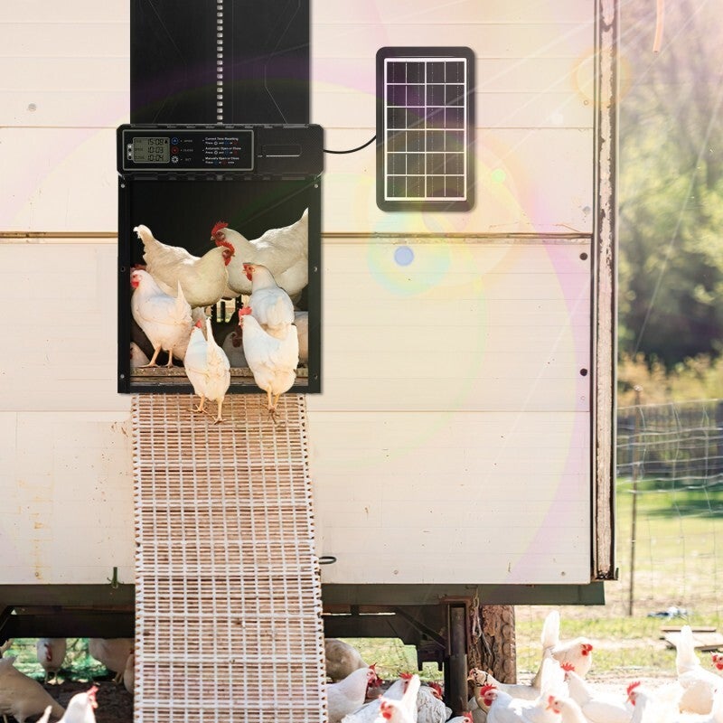 Porte Poulailler Automatique Solaire,Automatique Poulailler en Aluminium avec Panneaux Solaires, Minuterie, IPX3 - 8