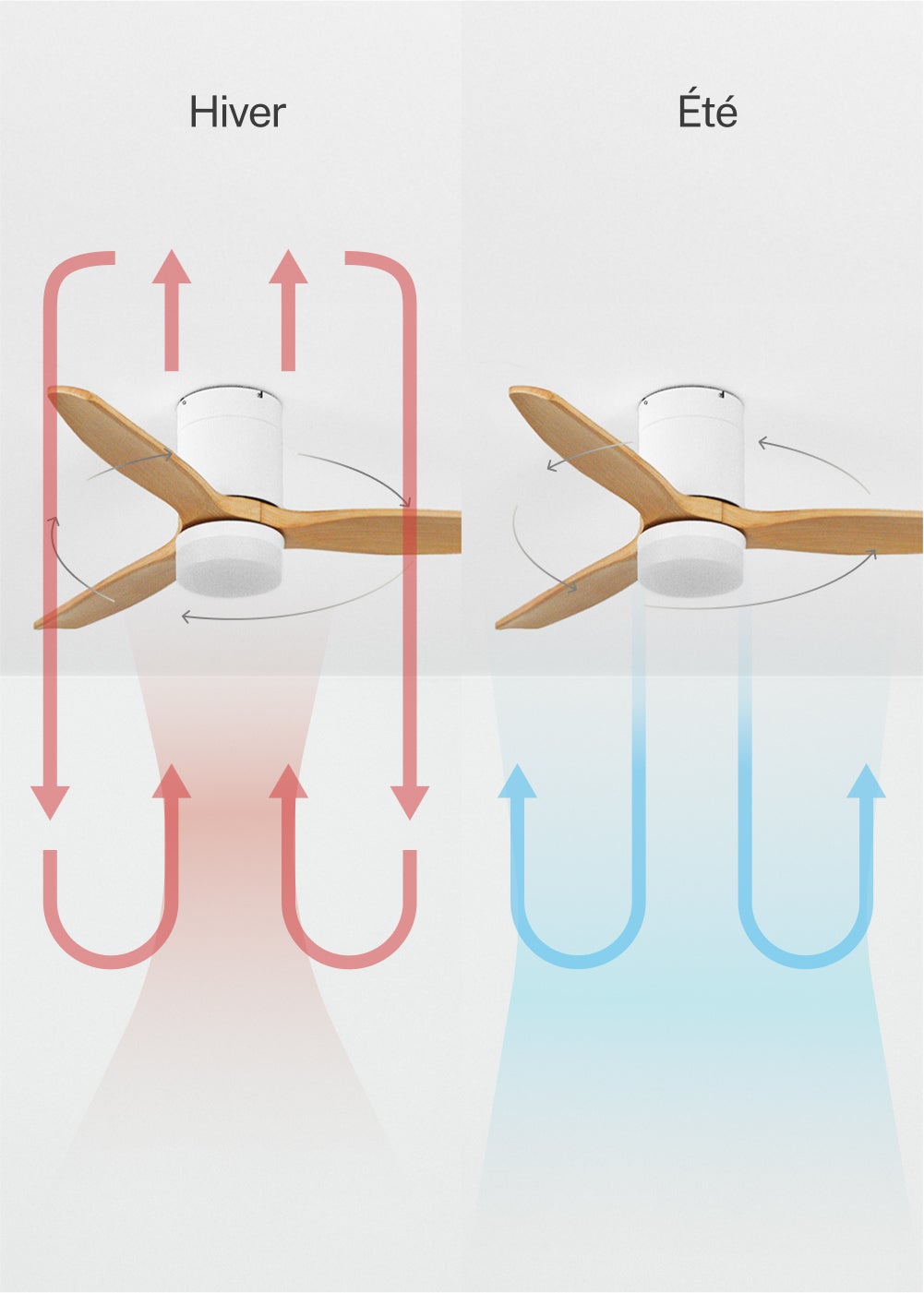 WIND CALM S - Ventilador de teto silencioso de 40 W com pás técnicas em ABS de vários tamanhos - Com luz - sem wifi - 5