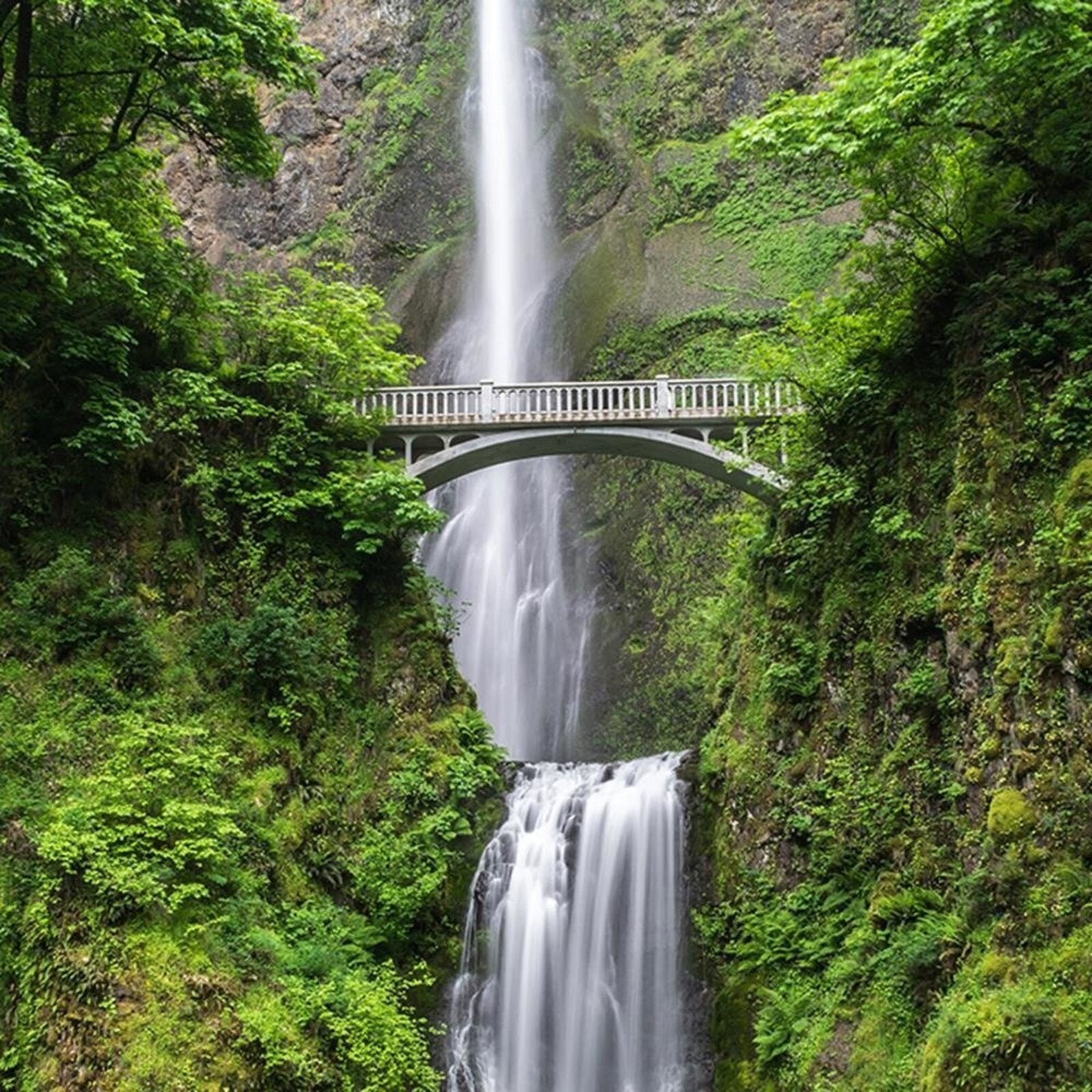 Tableau pont de bois au-dessus de la cascade - 80 x 120 cm - 4
