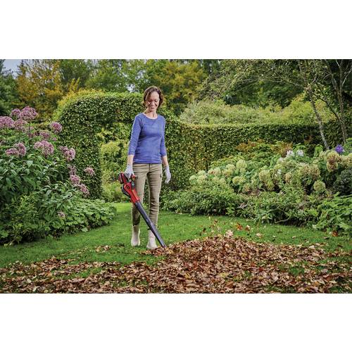 Einhell 3433560 GE-UB 18/250 Li E (1x4,0Ah) sans fil Souffleur sans fil, Souffleur avec batterie, avec chargeur, - 2