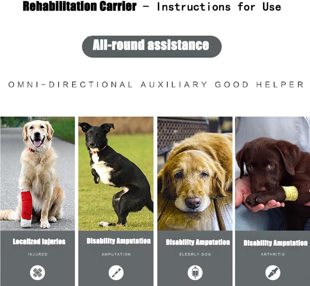 Colete de elevação para cães, suporte para as patas traseiras, auxiliar para levantar e caminhar, com alças ajustáveis e respiráveis para as costas e - 6