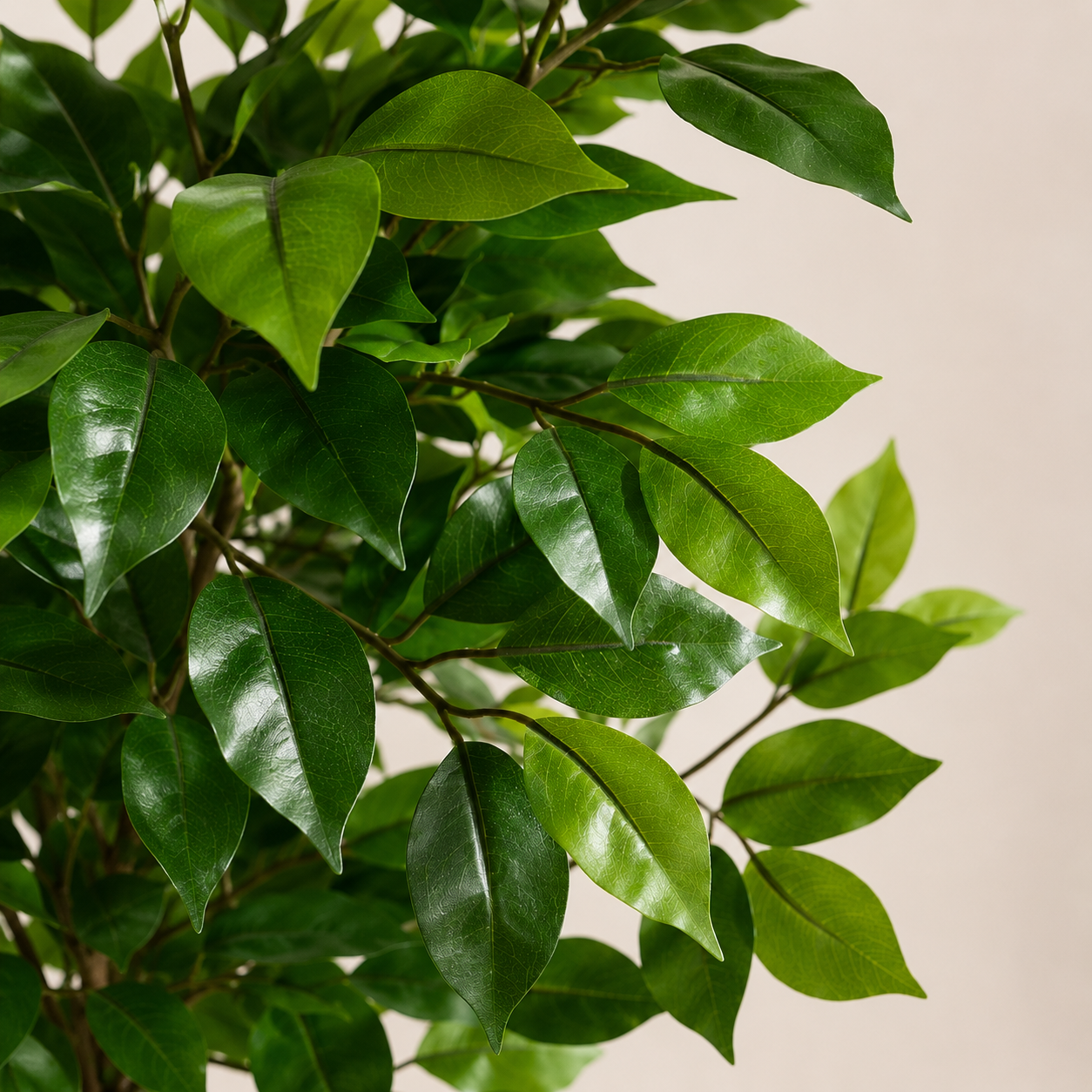 Planta Artificial Ficus 180 cm - Árbol Ficus Artificial – VALYRIA HOME - 6