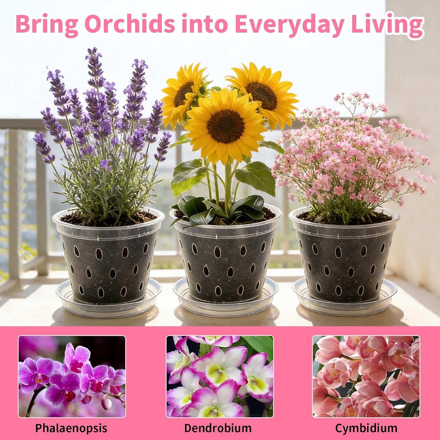 Lot de 4 pots transparents pour orchidées, pots de fleurs transparents en plastique pour orchidées, intérieur et balcon, 14 cm (5,5 pouces) - 5