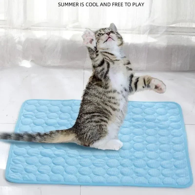 Tapis rafraîchissant lavable en soie glacée pour chien, tapis de couchage d'été avec fond imperméable pour animaux de compagnie (XL, 100 x 70 cm) - 6