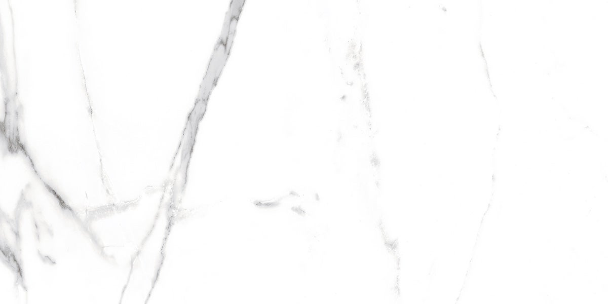 Piastrella rettificata per pavimento o parete interna 60 cm x 120 cm - Swiss White Grey - 9