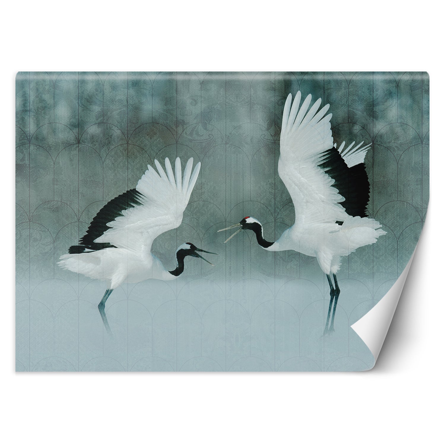 Fototapeta, Żurawie ptaki 300x210