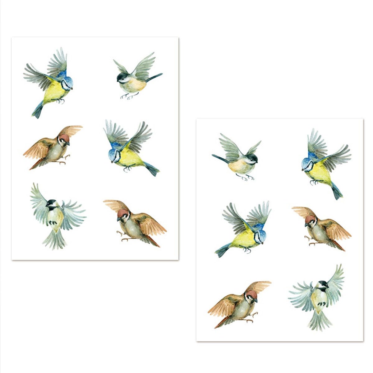 Stickers Adhésifs Transparents Petits Oiseaux - Format A3 (environ 29,7 X 42 Cm) - Décoration Fenêtre, Mur, Meuble - Fabriqué En France - 3