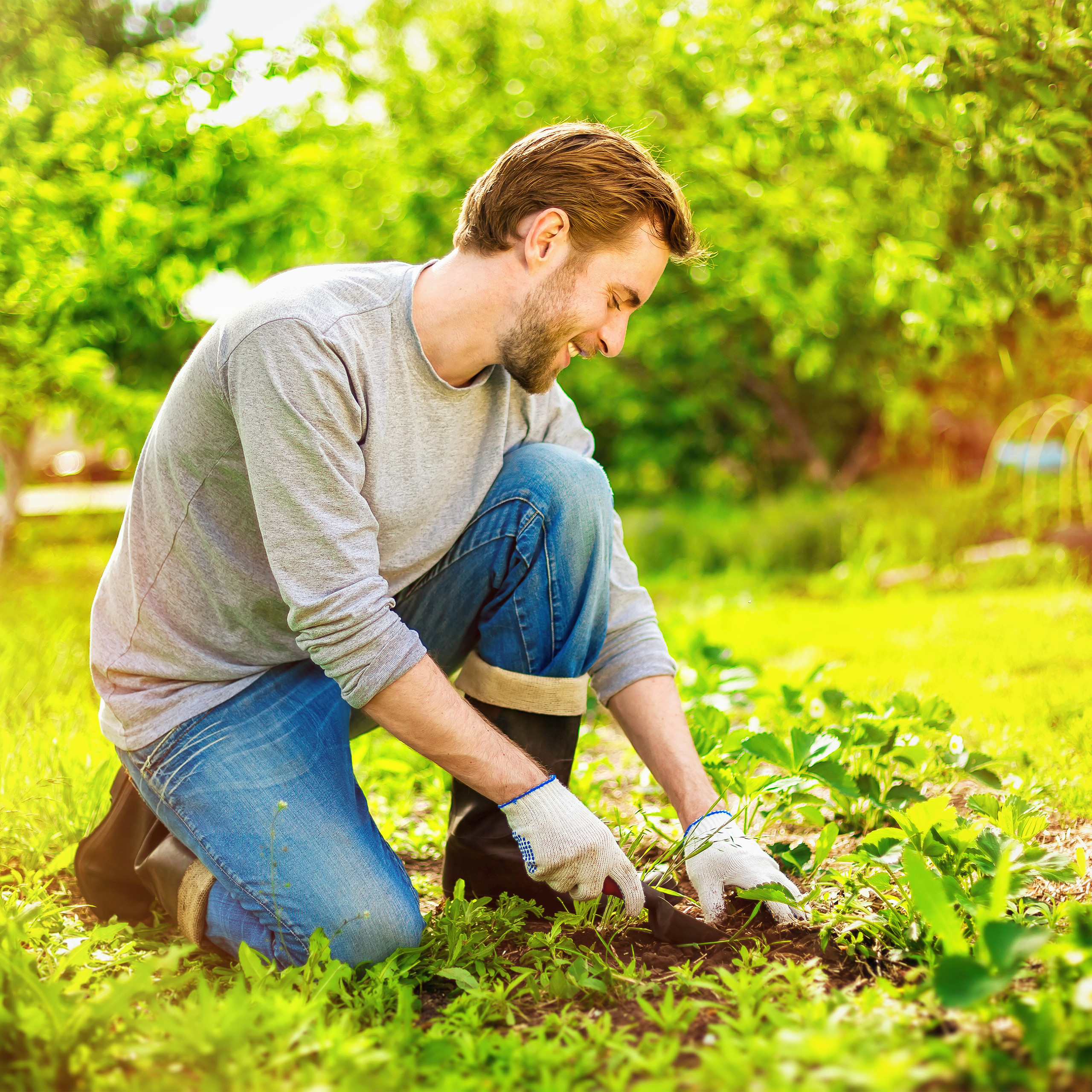 6x Toile anti-mauvaise herbe 5 m bâche tissée racines toile 50g/m² film paillage, Résiste rayons UV, antidéchirure, noir - 3