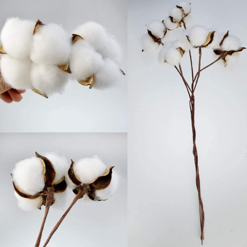 Branches Décoratives En Coton Séché Naturel - 10 Tiges Avec Pompons - Décoration Maison, Fête, Vase - 8