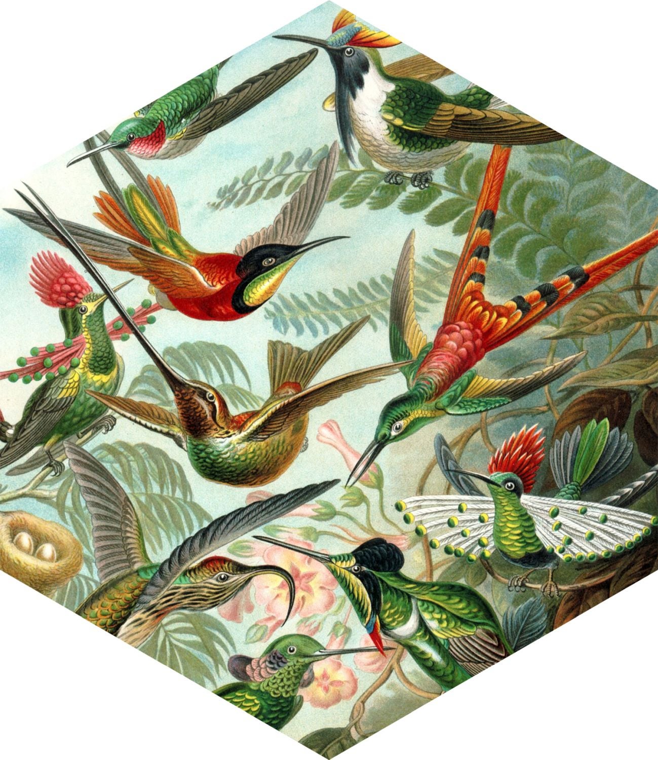 Naklejka na ścianę ptaki tropikalnej zieleni dżungli - 70 x 81 cm - ESTAHOME