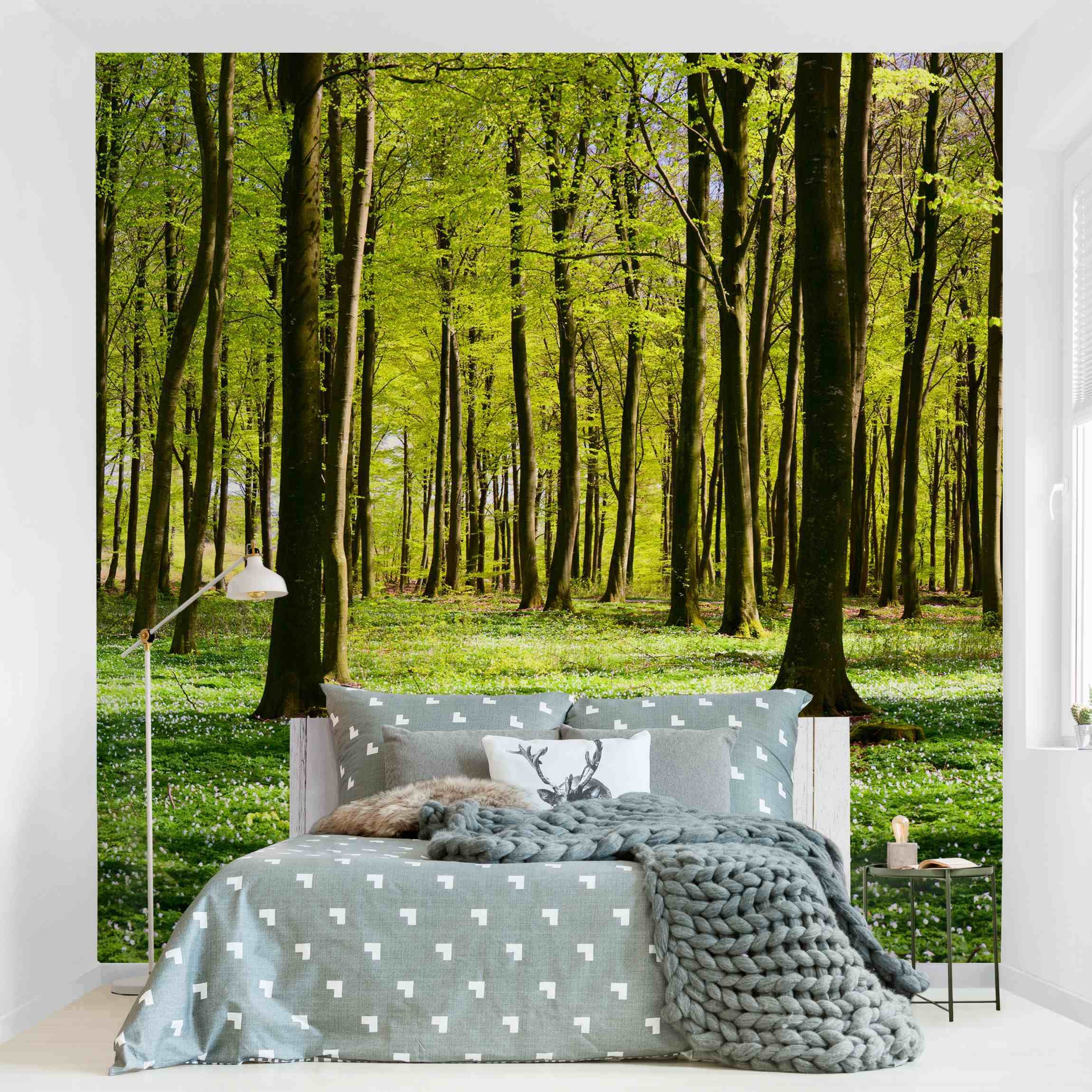 Papel pintado fotomural bosque naturaleza 127 - salón dormitorio cocina pasillo - tnt 336 x 336 cm premium