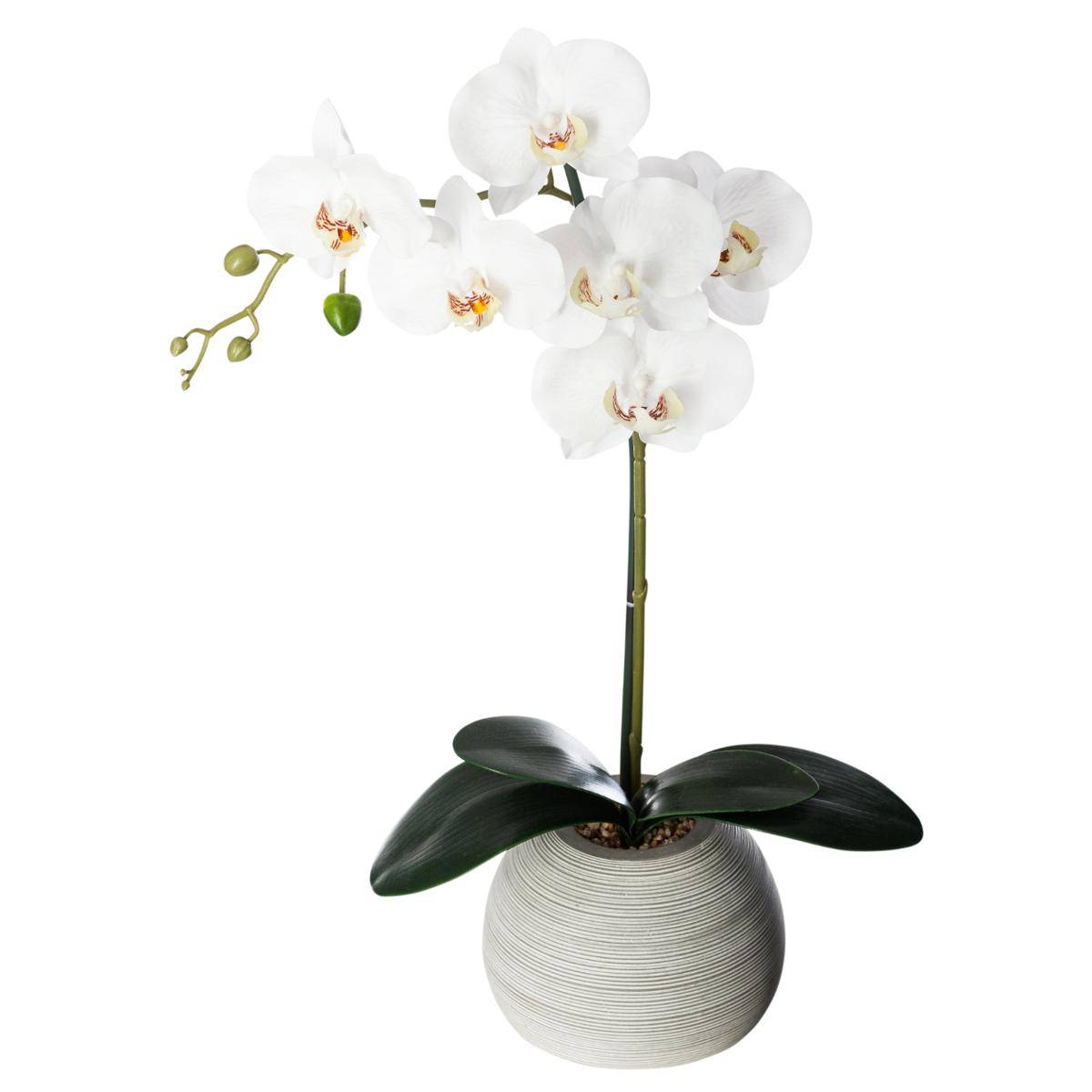 Atmosphera Créateur d'intérieur - Aloe vera artificiel H44 cm