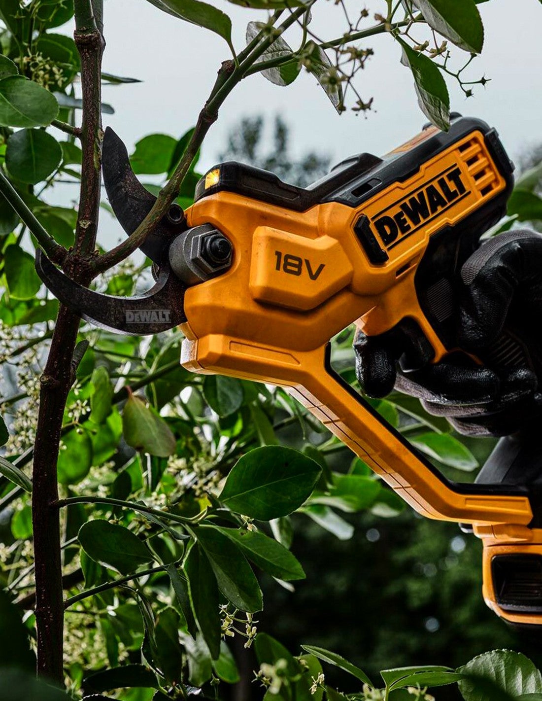 Sekator ogrodowy 18 V XR 38 mm (bez akumulatora i ładowarki) - DEWALT - DCMPP568N-XJ - 8