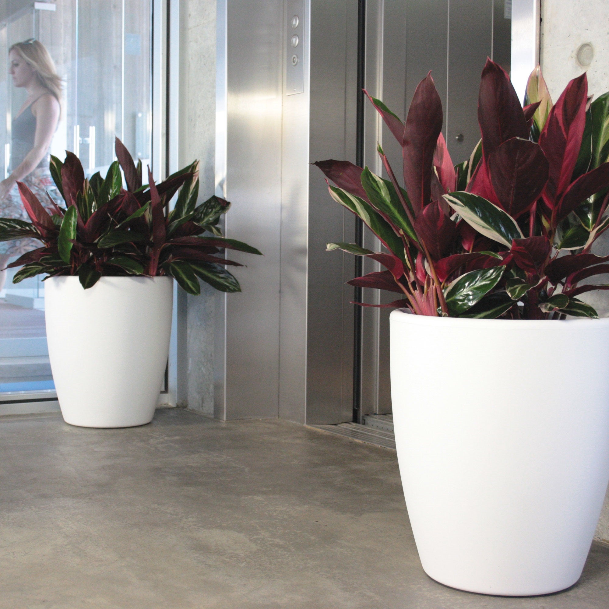 Pot de fleurs 60L Accord WellHome Ø50cm Impruneta - 3