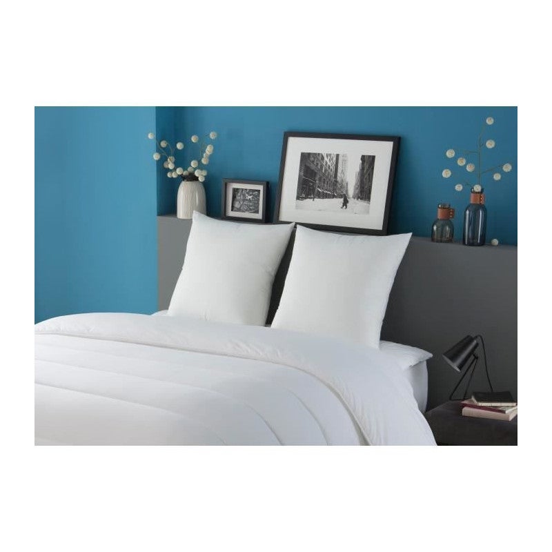 2 cuscini alla moda 60 x 60 cm silicone cavo in fibra poliestere 100% ripieno bianco - 2