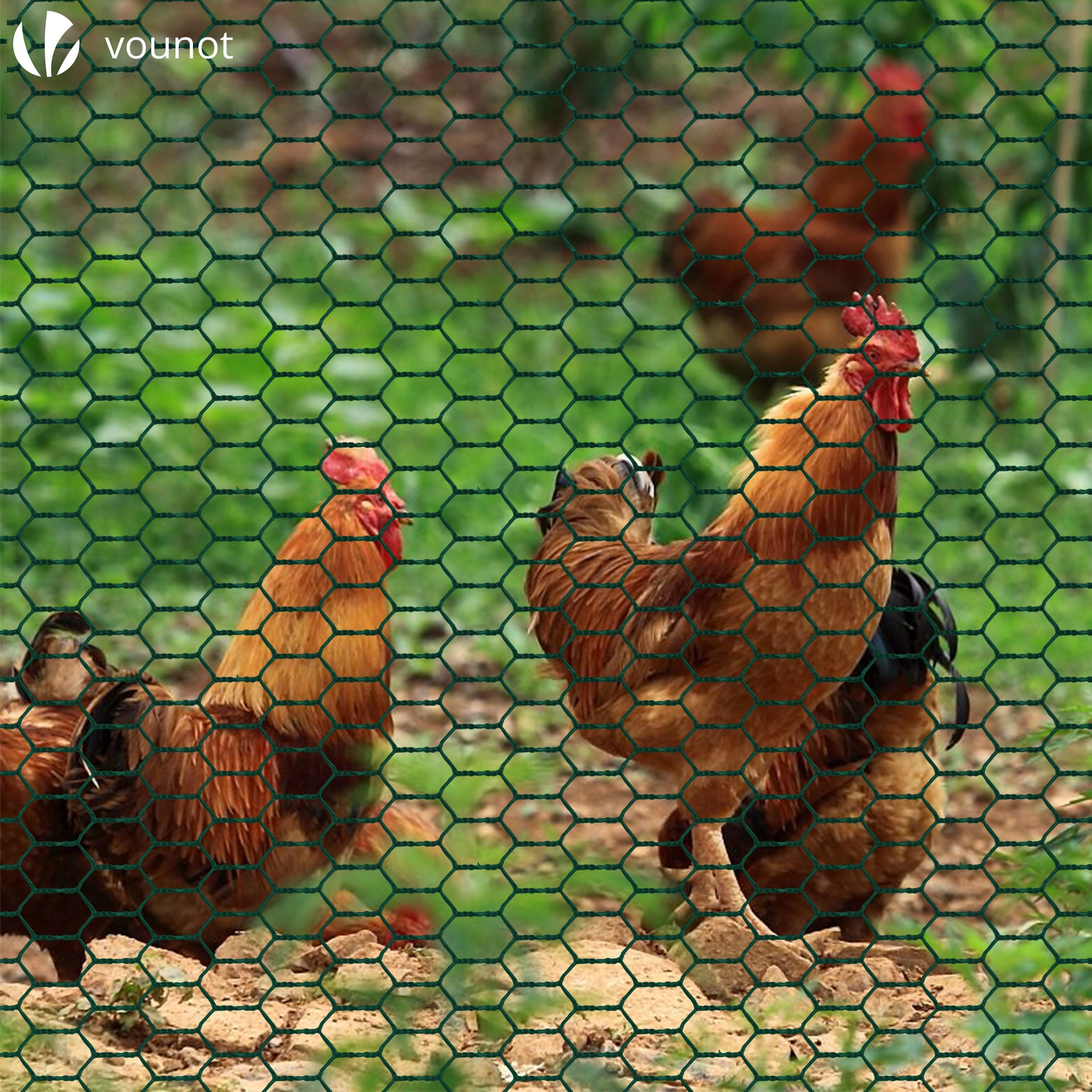 Grillage métallique gainé de PVC vert - Maille 13mm - 1x50M - Filet de clôture pour poulailler - VOUNOT® - 3