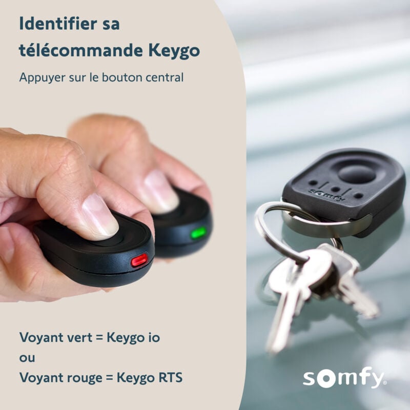 SOMFY 1841064 - Télécommande Keygo RTS - Pour commander jusqu'à 4 moteurs de porte de garage ou portail RTS - 4