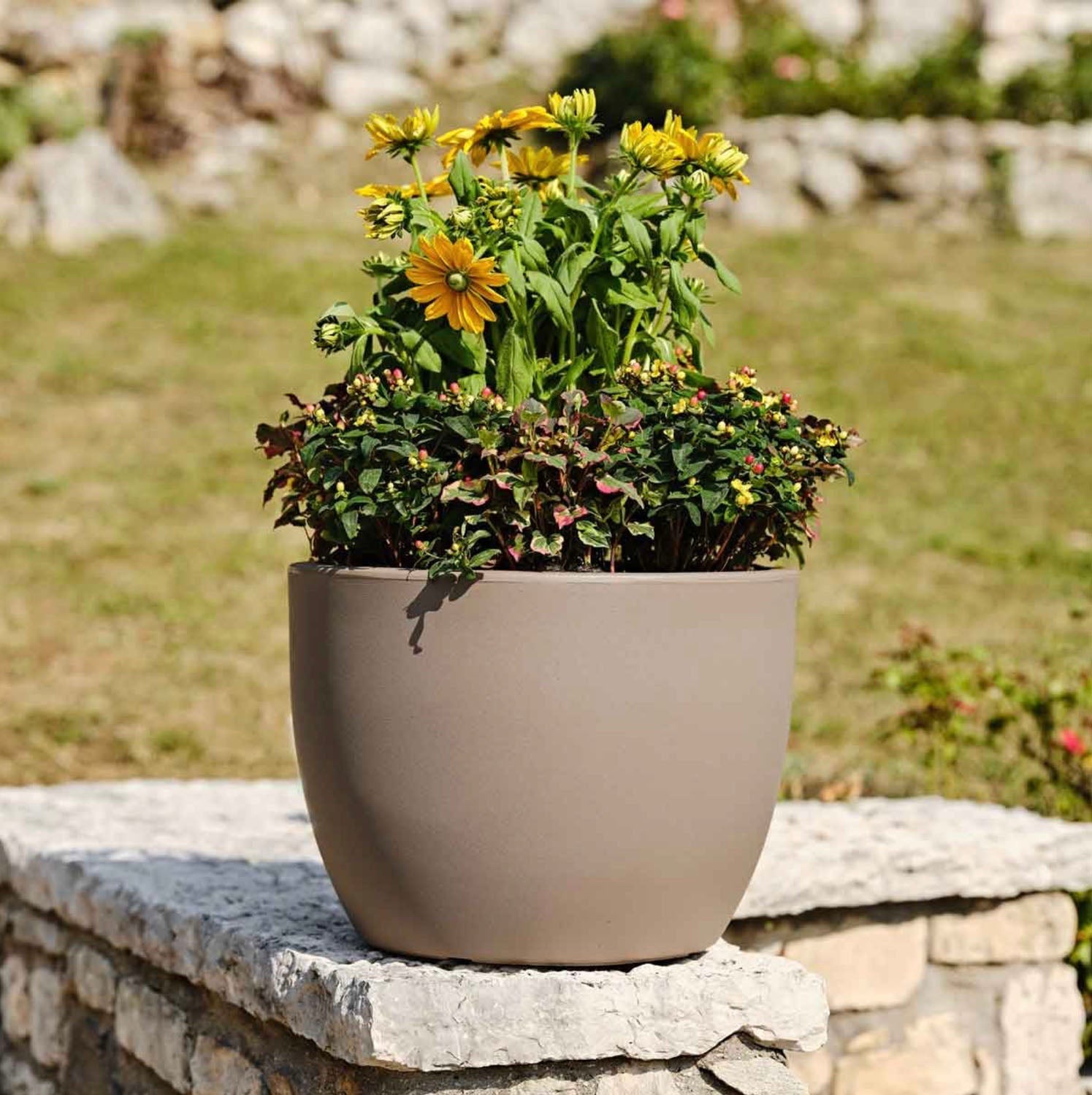 Vaso tondo 