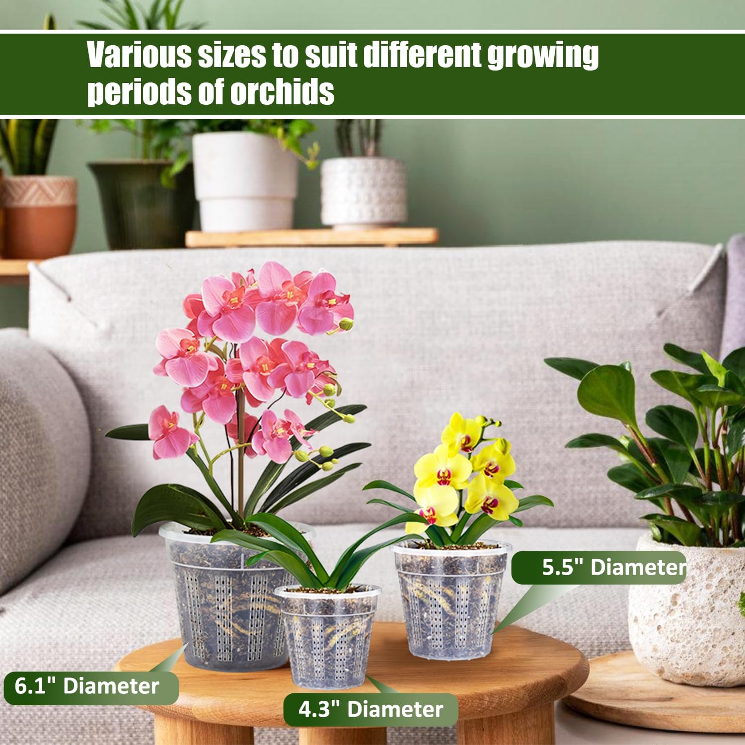 Pots orchidée 4.3 5.5 6.1 pouces trous 2 chacun rempotage plastique intérieur extérieur - 2