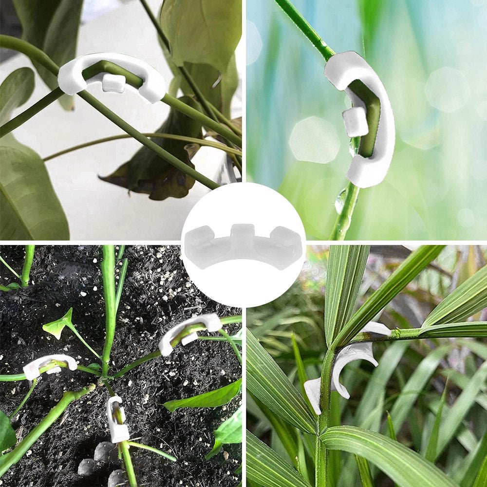 Pinces de pliage de plantes à 90 °, 10 pièces, outil de pliage de plantes, Support de vigne de légumes, Clips de Support de jardin - 4