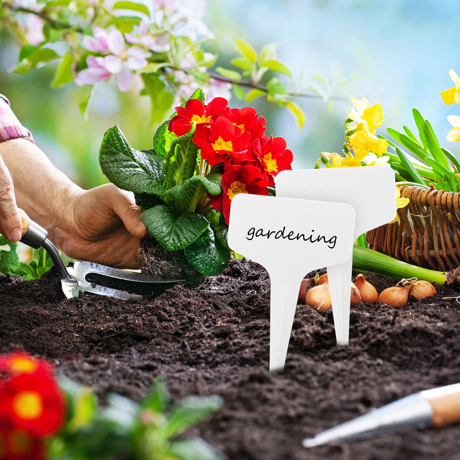 200 pièces Etiquette Jardin Exterieur Marqueurs en Plastique de Plantes Type T Plastique Etiquette Potager avec Stylo étanche Etiquetage Réutilisable - 6