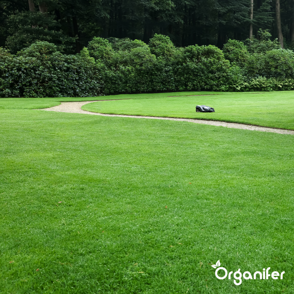 Topdressing Pour Gazon - Mix Avec Mycorhizes Et Rhizobactéries - 50 Litres Pour 50 M2 - Organifer - 8