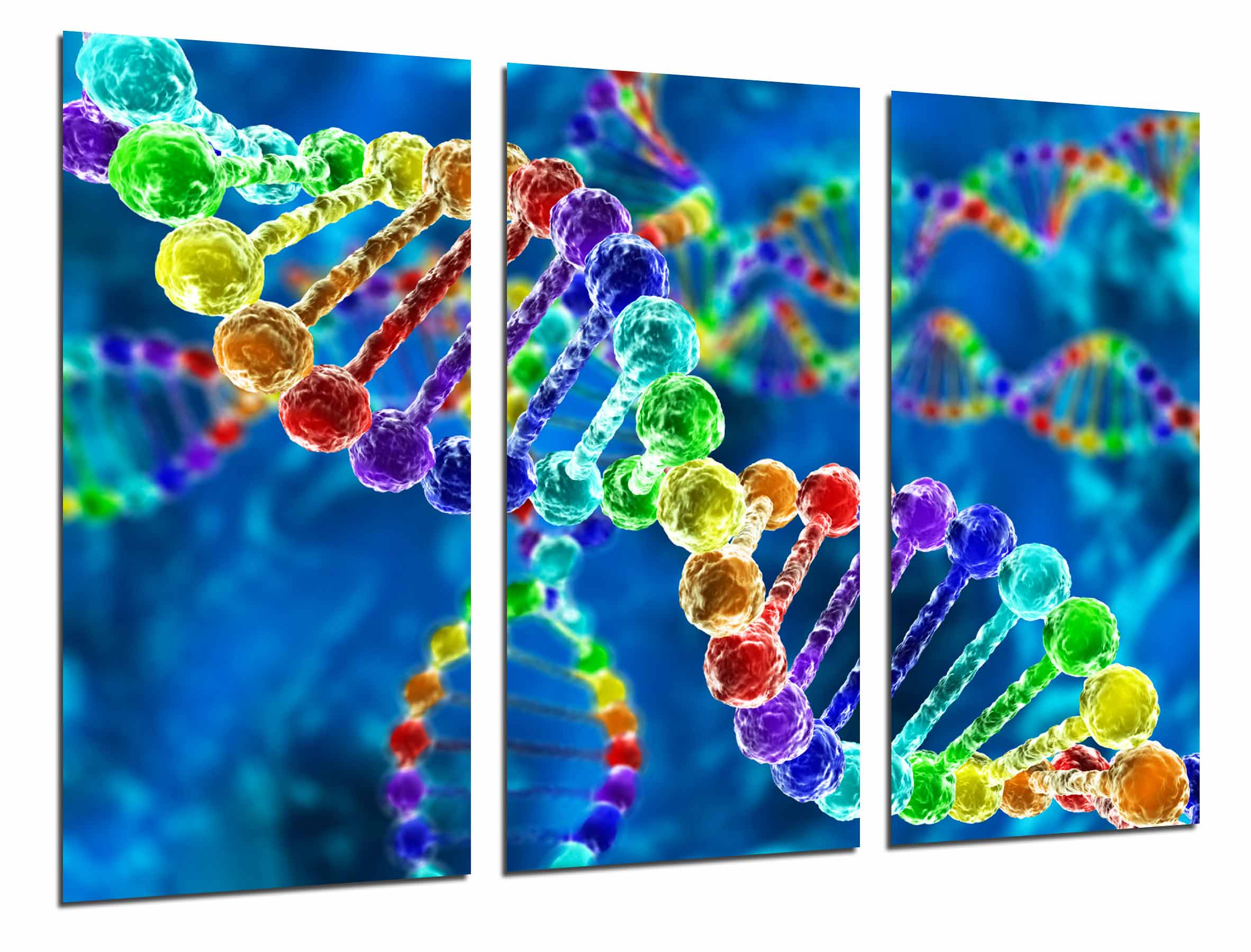 Biologia, ciencia, cromosoma, cadena adn de colores, impresión fotográfica sobre madera, cuadro moderno decorativo