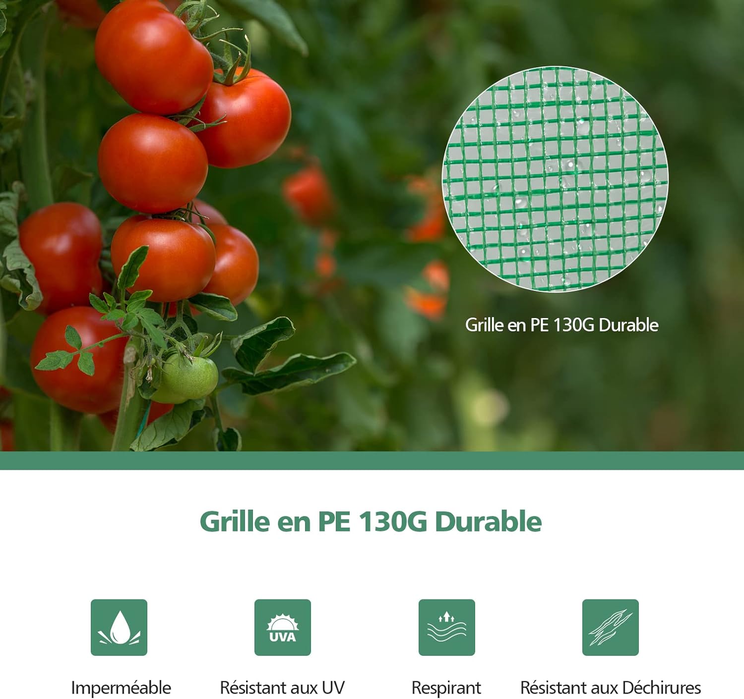 Serra da Giardino Inverno, Mini Serra per Orto e Piante con Telaio in Acciaio, Porte a Cerniera Arrotolabili, Telo in PE, Ideale per Giardino - 4