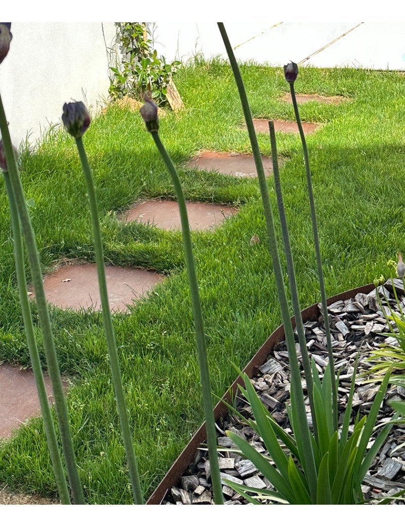 Lot 5 Pas Japonais Métal Acier Corten Brut 50x40 Cm - madecoupesurmesure - 4