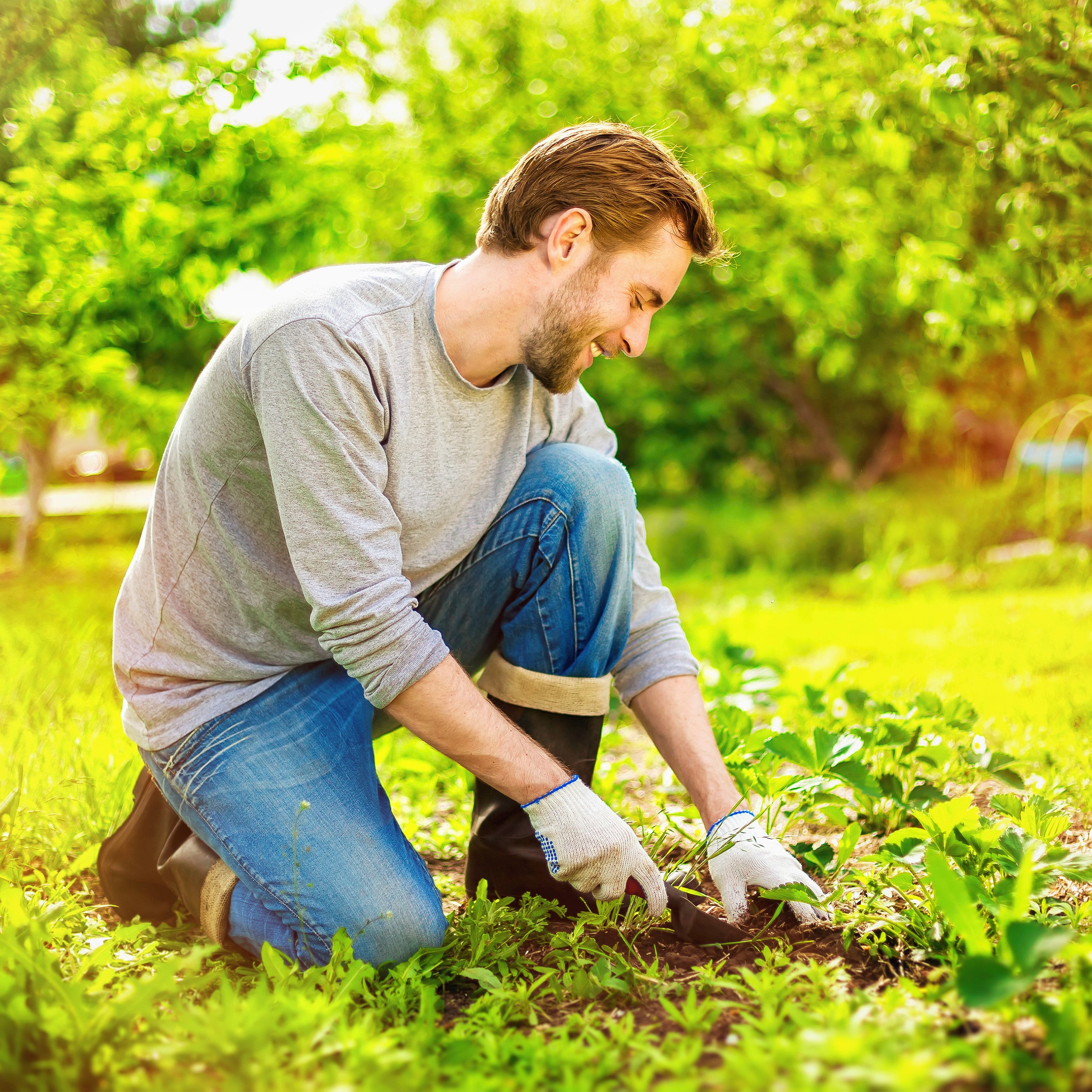 5x Toile anti-mauvaises herbes 50 m, Bâche tissée, Toile 150g/m² paillage, Résiste rayons UV, antidéchirure, noir - 5